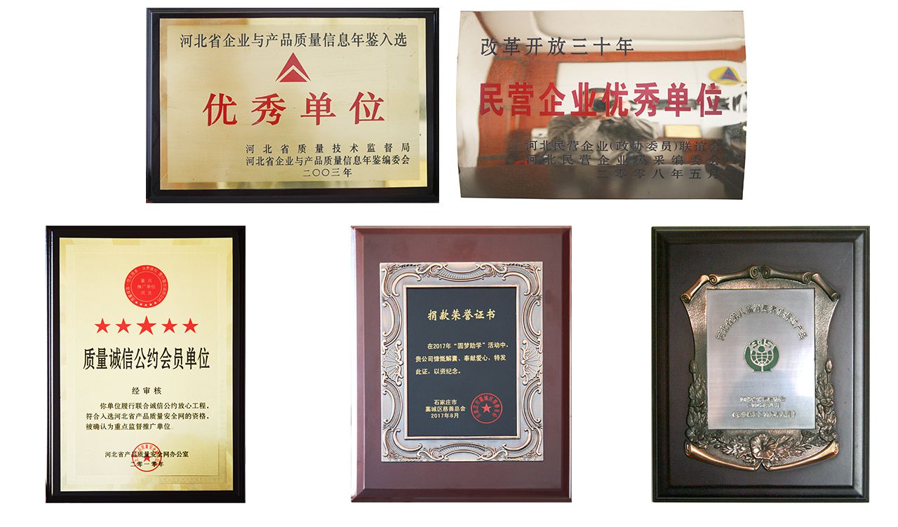 資質_02_05.jpg